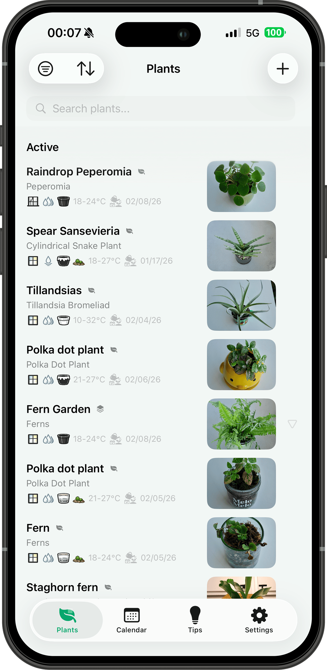 Your plant list