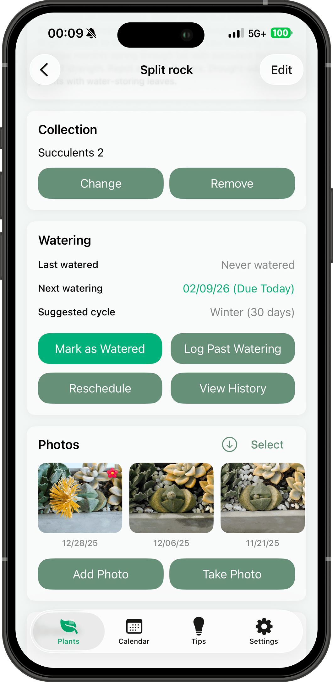 Plant profile and growth photos