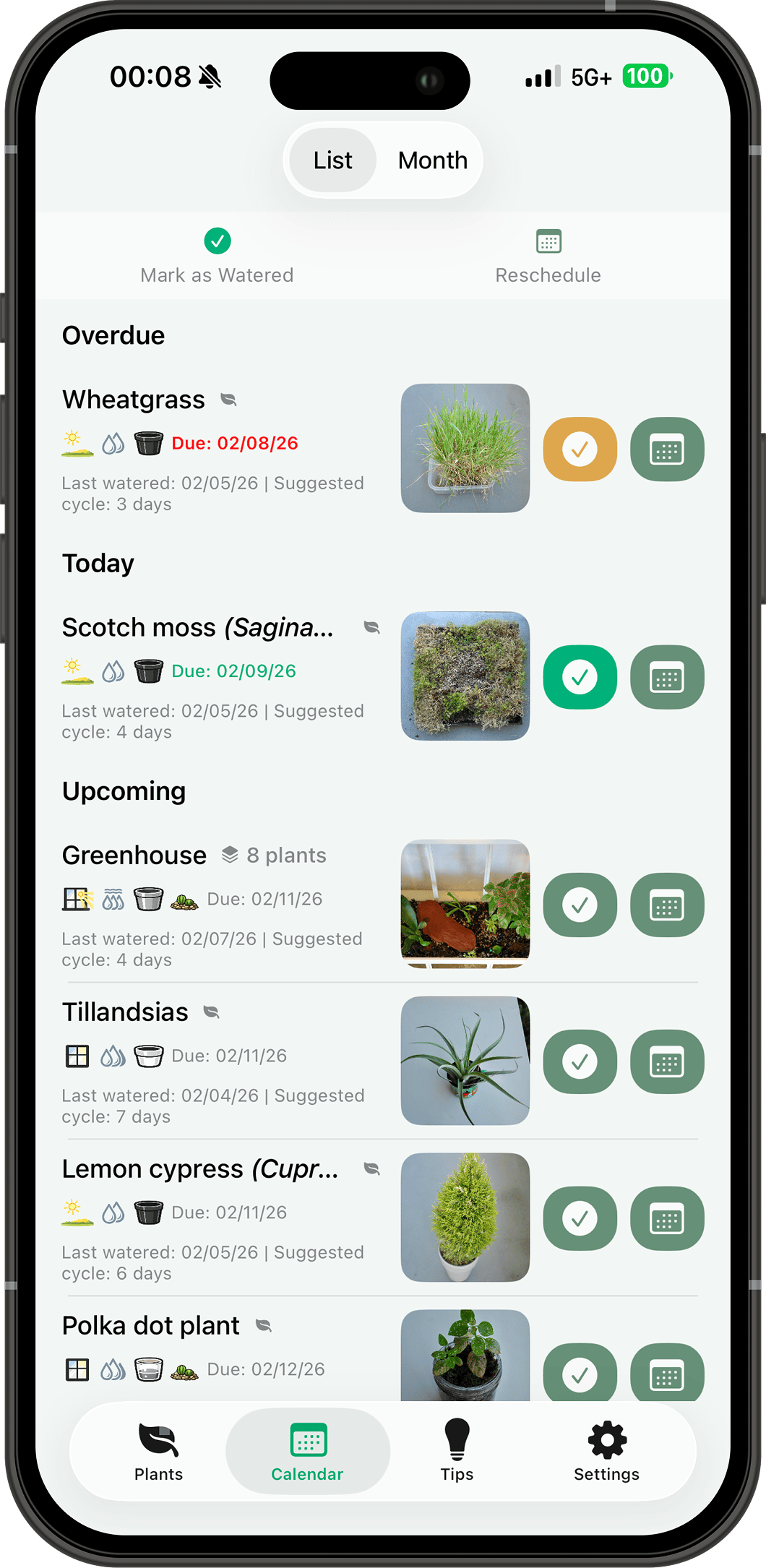 What's due for watering